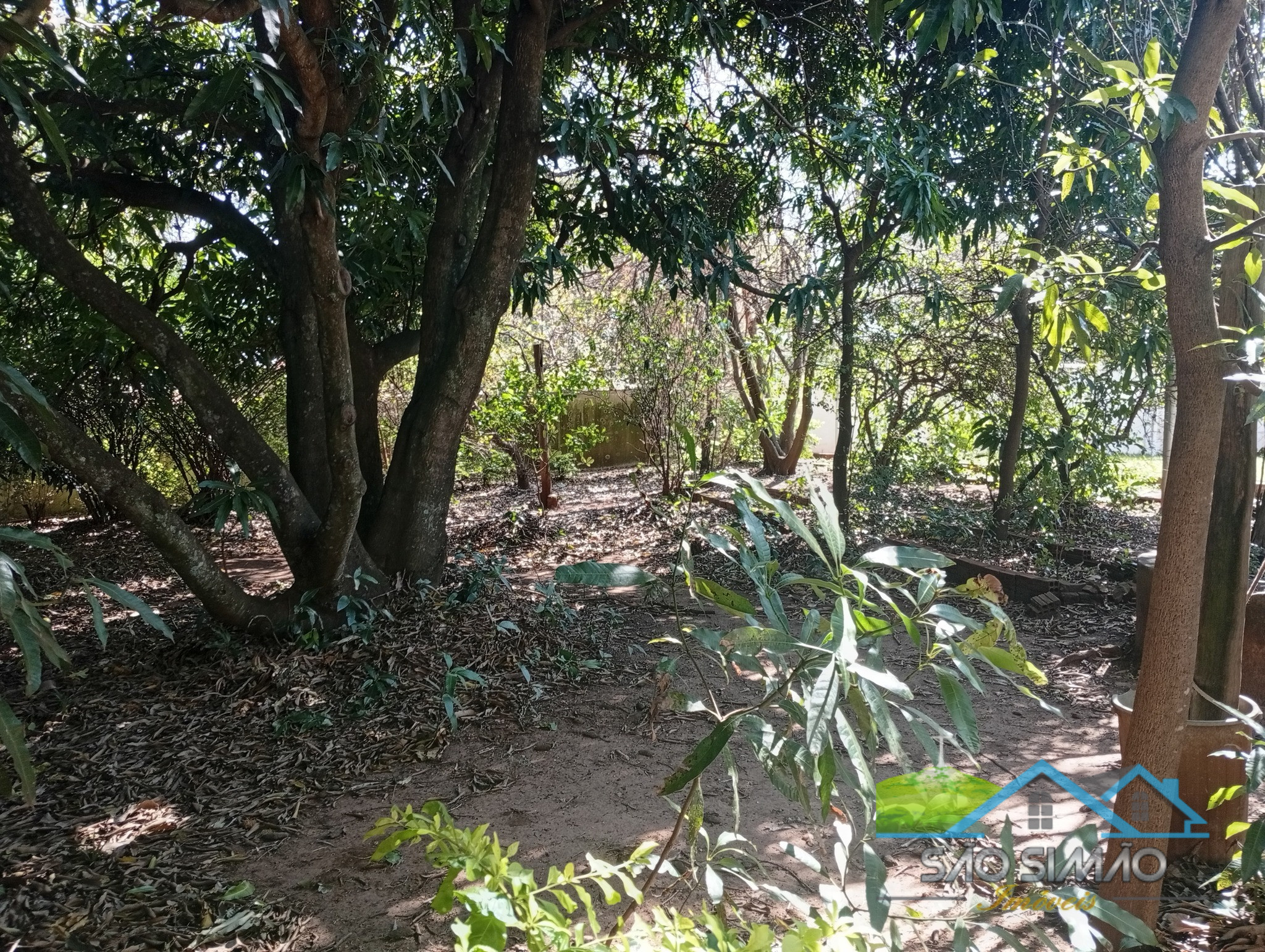 Belíssimo imóvel à venda em São Simão SP - 3 quartos sendo 2 suítes